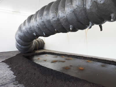 Tennesse wiggler the big fat worm aka le lombric cosmique - KLAT